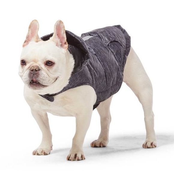 32 Degree Heat Reversible Down Dog Coat 🐶🐾 - Picture 1 of 6